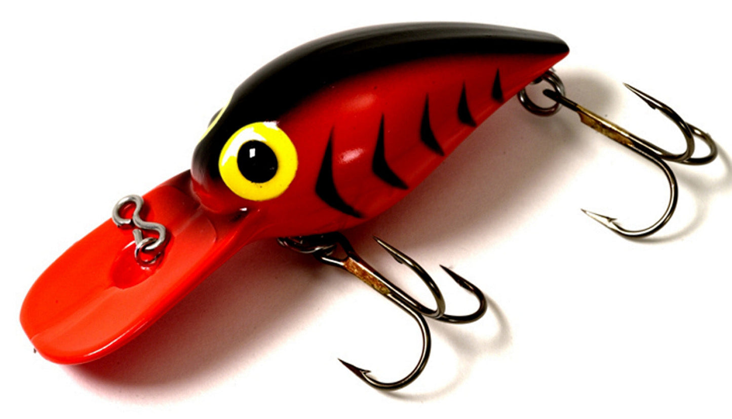 Brad's Wee Wigglers