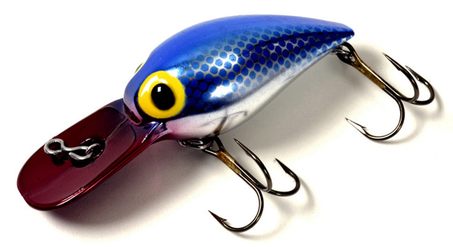 Brad's Wee Wigglers