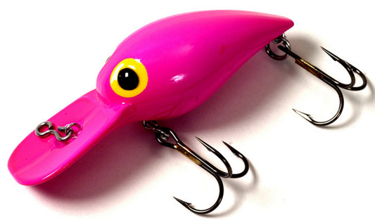 Brad's Wee Wigglers