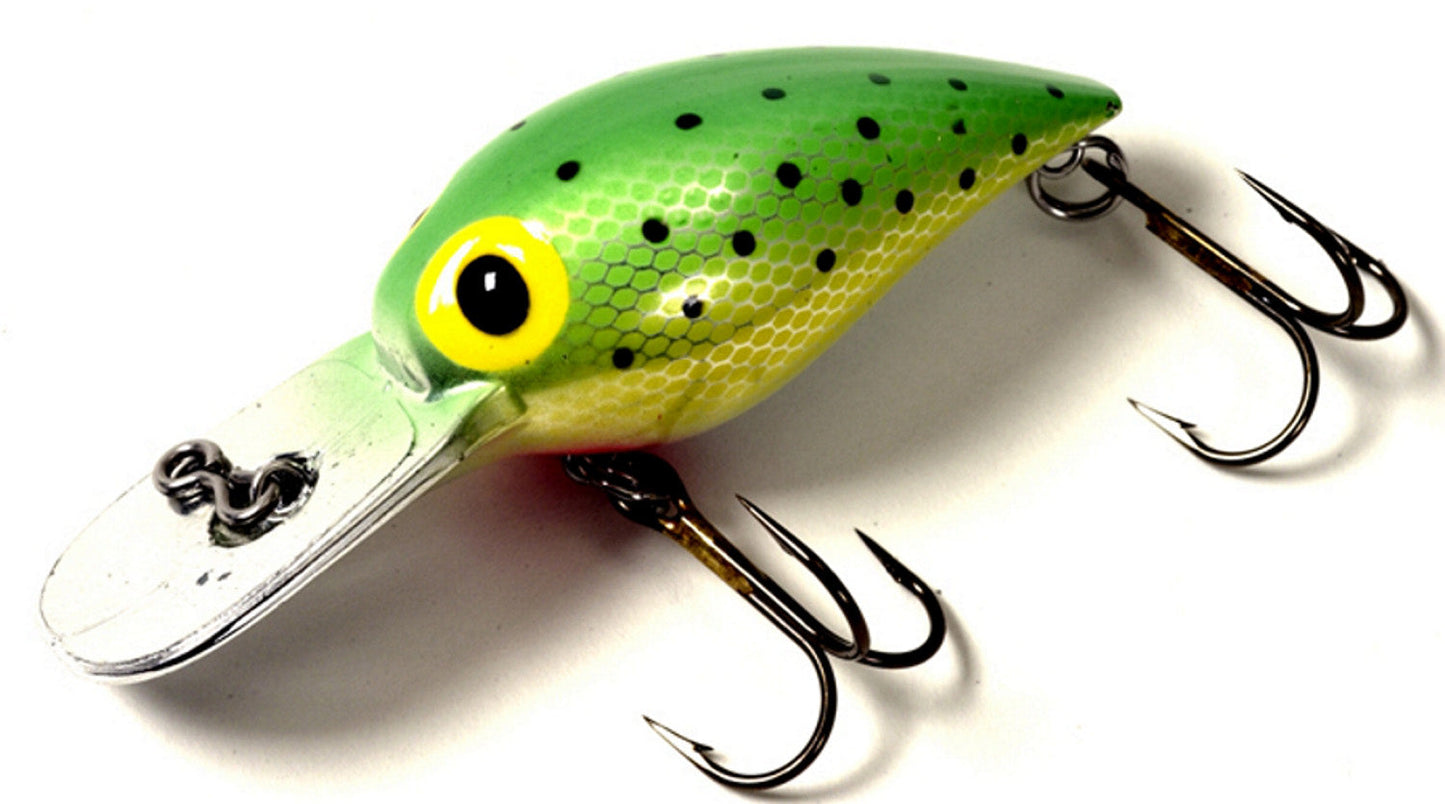 Brad's Wee Wigglers