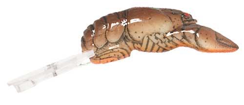 Rebel Deep Wee Crawfish