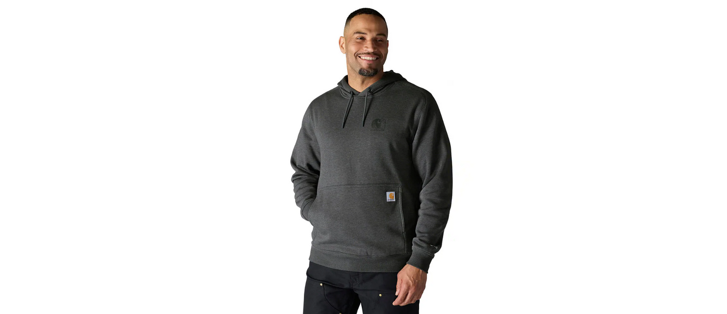 Carhartt Men's Force Relaxed Fit Lightweight Logo Graphic Sweatshirt