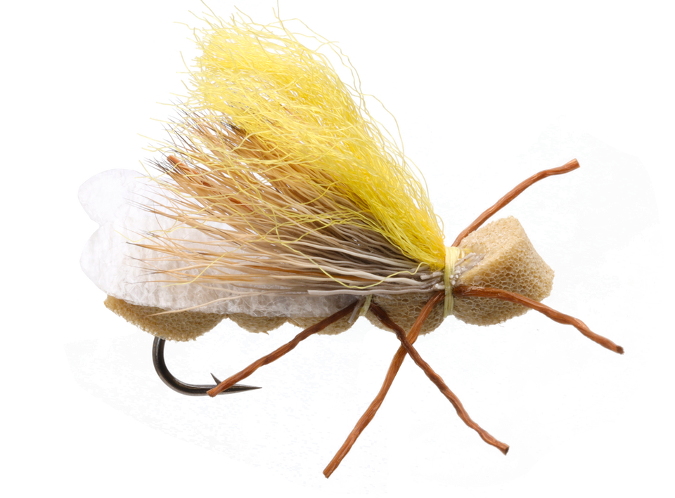 Solitude Fluttering Golden Stone