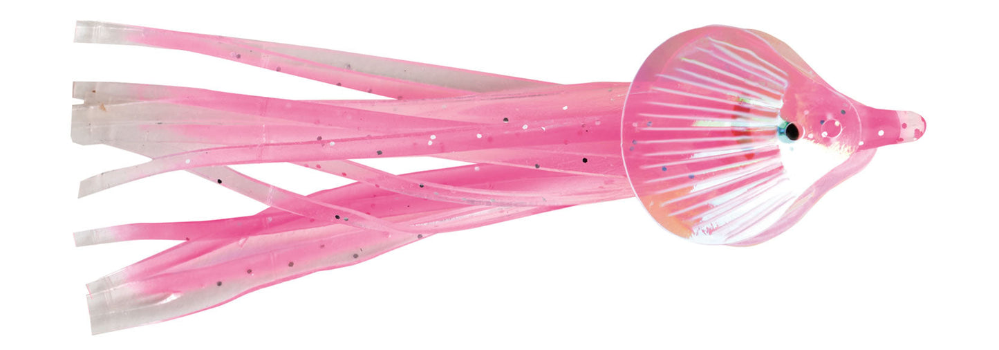 Pline Geisha Squids