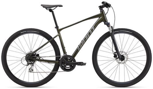 Giant Roam Disc 3