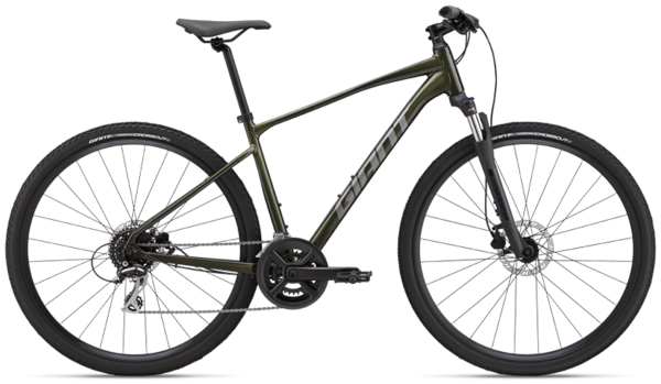 Giant Roam Disc 3
