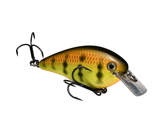 Strike King KVD Square Bill 1.5 Crankbaits