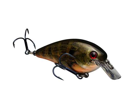 Strike King KVD Square Bill 1.5 Crankbaits