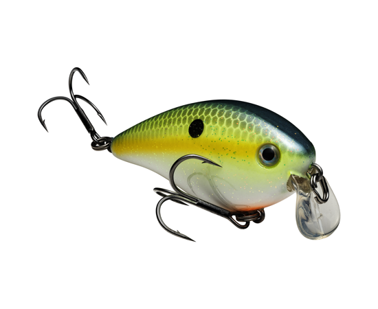 Strike King KVD Squarebill 1.5 Shallow Crankbait