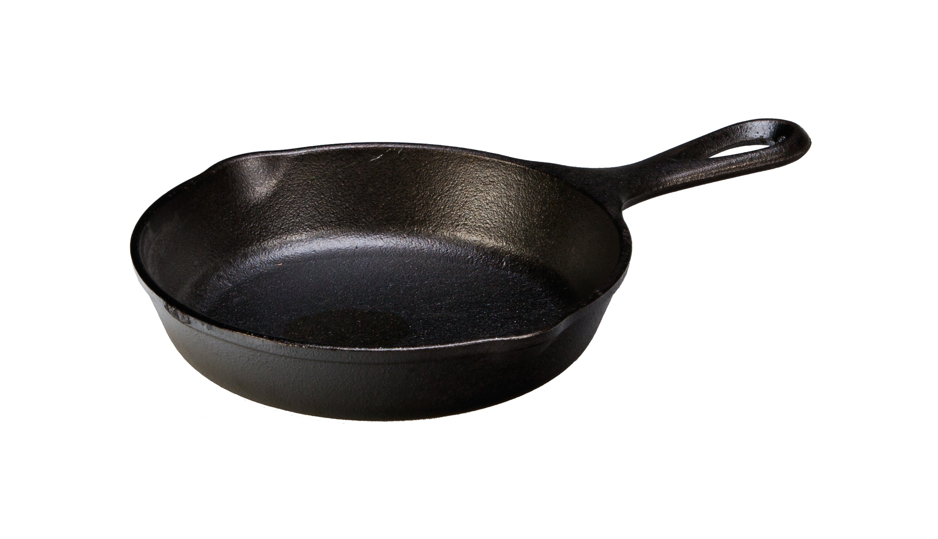 Lodge Seasoned Skillet