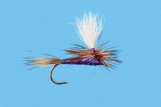 Solitude Fly Co Parachute Purple Adams
