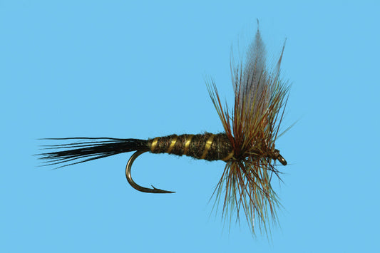 SOLI GREEN DRAKE      10