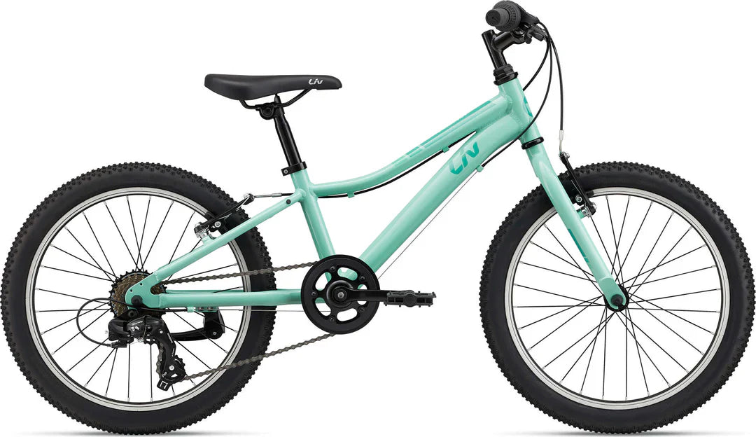 Giant Enchant 20 Lite