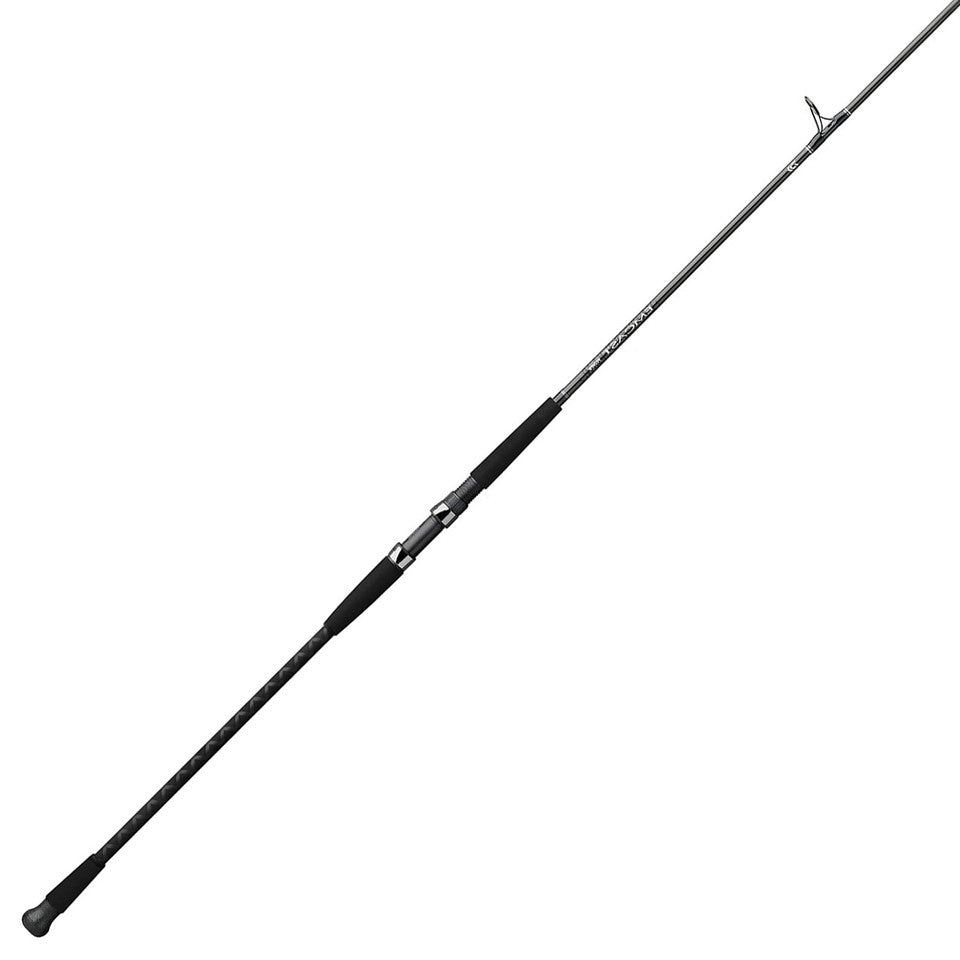 Daiwa EMCST1002MHFS Emcast Surf Spinning Rod