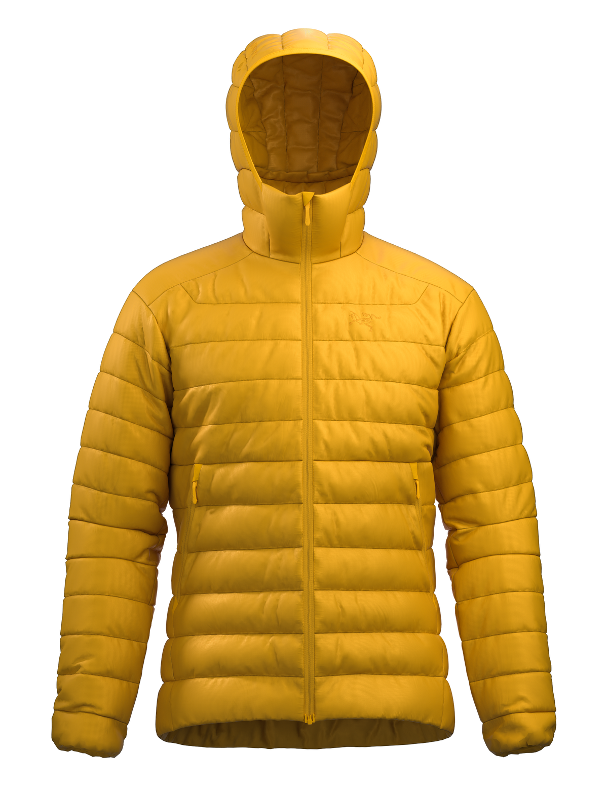 Arc'teryx Cerium Hoody Men's
