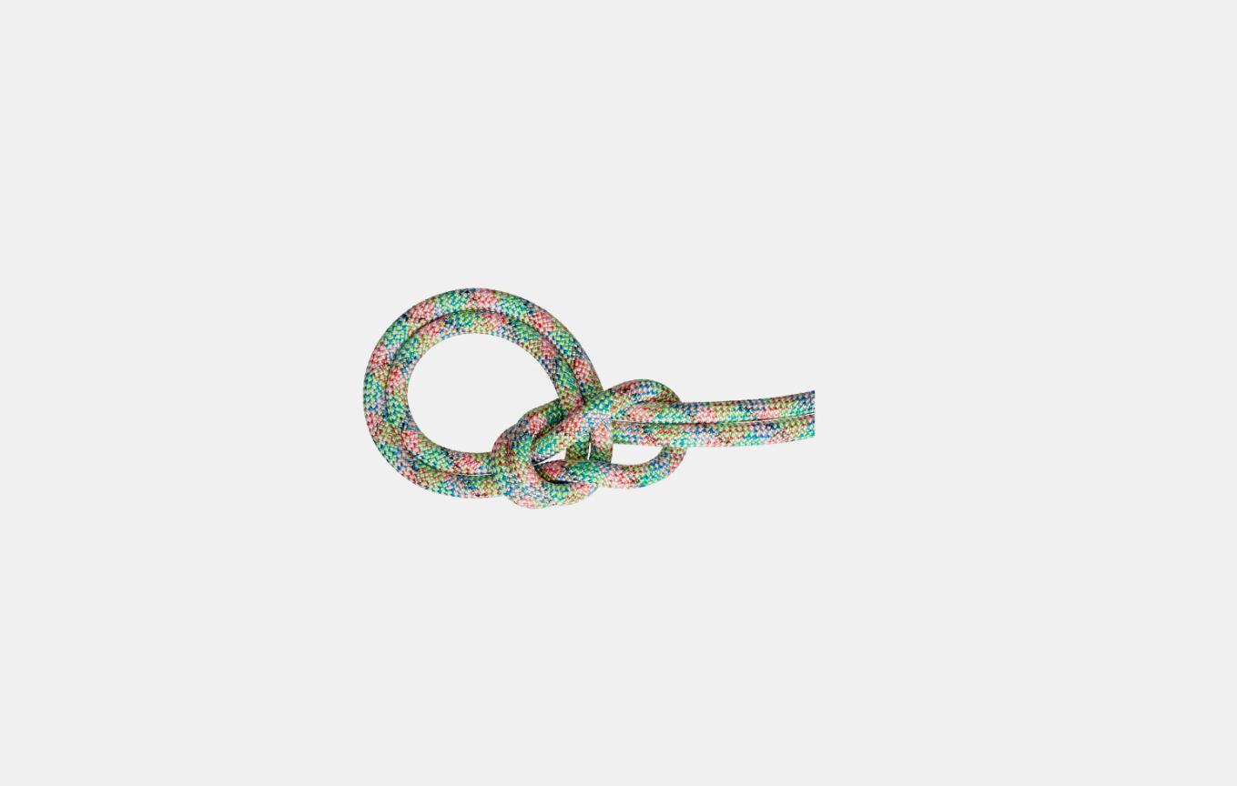 Mammut 9.5 Crag We Care Dry Rope