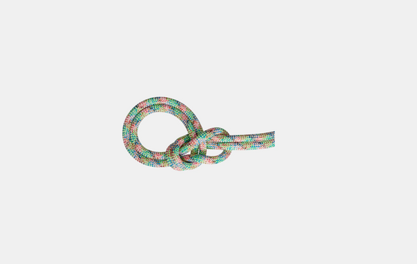 Mammut 9.5 Crag We Care Dry Rope