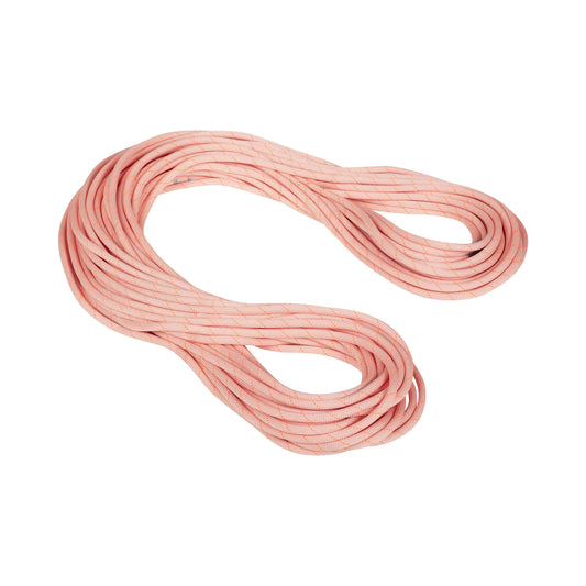 Mammut 9.9 Gym Workhorse Classic Rope - Ascent Outdoors LLC