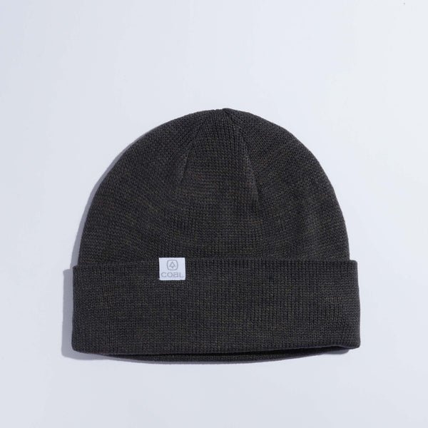 Coal Headwear The FLT Beanie